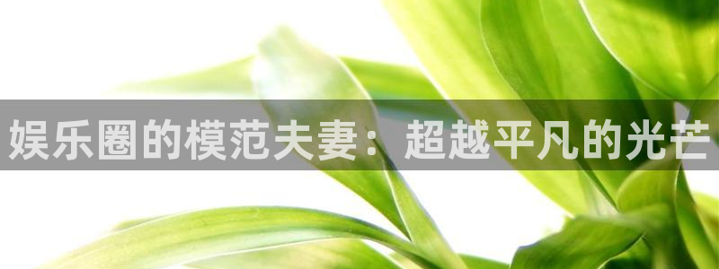 益达娱乐是啥
