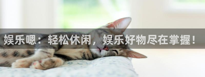 壹号电子娱乐app下载最新版本安装