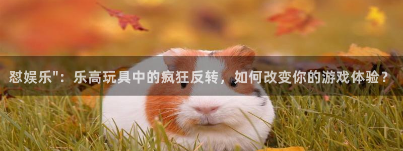 益达娱乐pg