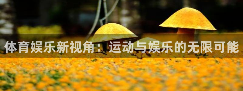 壹号大舞台下载
