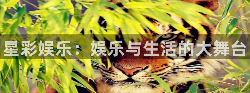 壹号大舞台28国际大舞台