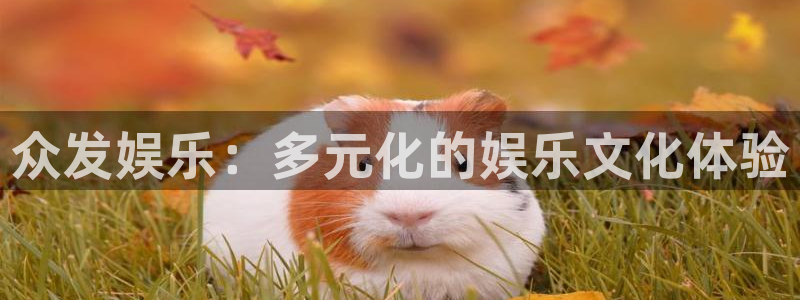 益达娱乐网站平台