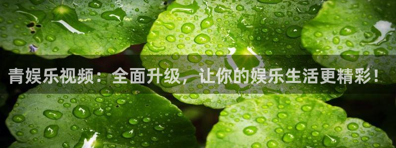 益达娱乐平台管网入口
