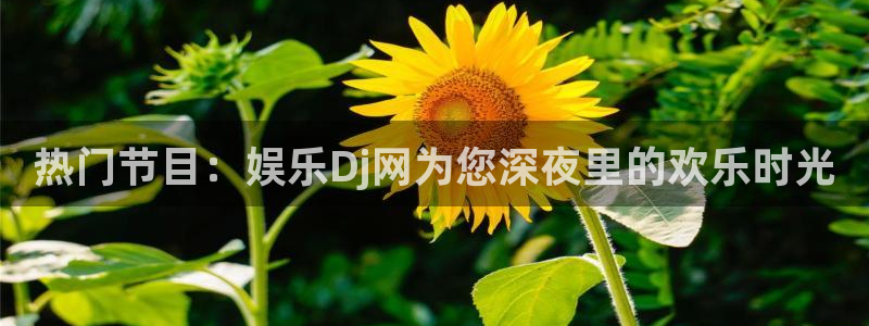 益达娱乐平台登录