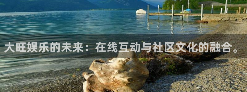 壹号大舞台：大旺娱乐的未来：在线互动与社区文化的融合。