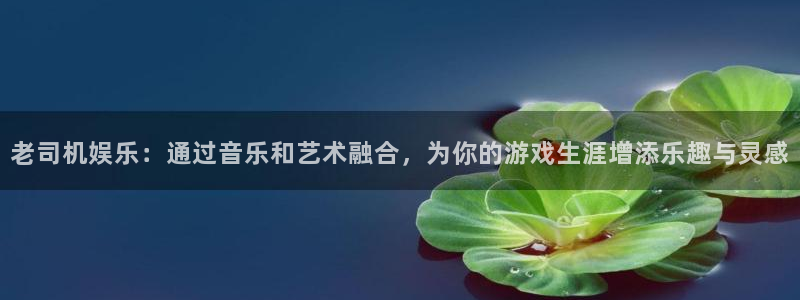 益达娱乐官网版下载链接：老司机娱乐：通过音乐和艺术融合，为你的游戏生涯增添乐趣与灵感