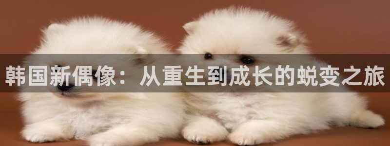 益达娱乐网站：韩国新偶像：从重生到成长的蜕变之旅