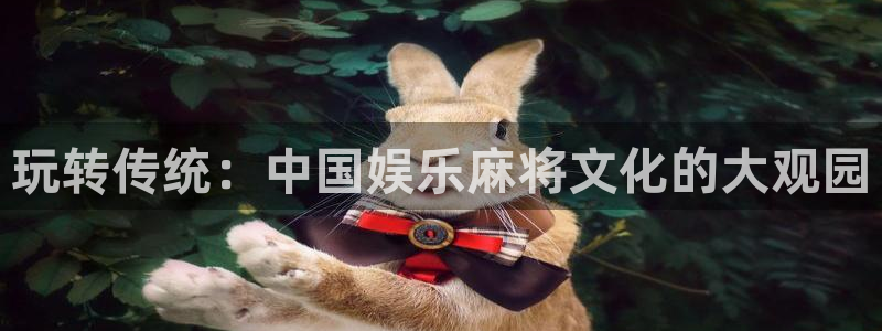 益达娱乐平台链接：玩转传统：中国娱乐麻将文化的大观园