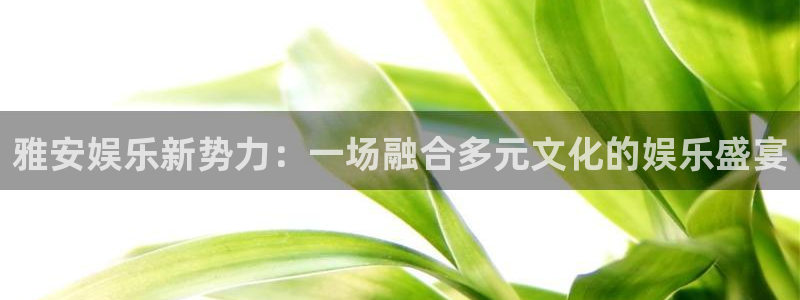 益达娱乐ccmpc：雅安娱乐新势力：一场融合多元文化的娱乐盛宴