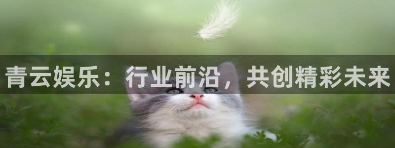 壹号电子娱乐app下载官网：青云娱乐：行业前沿，共创精彩未来