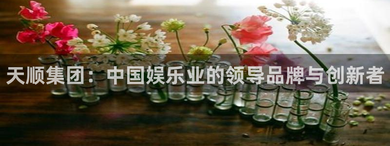 益达娱乐是什么：天顺集团：中国娱乐业的领导品牌与创新者