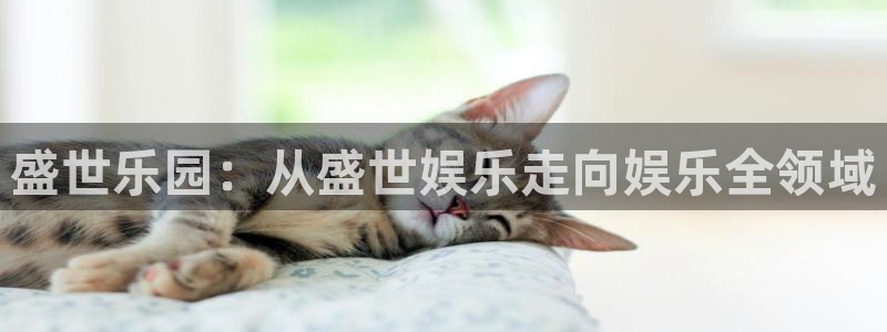壹号app下载链接：盛世乐园：从盛世娱乐走向娱乐全领域