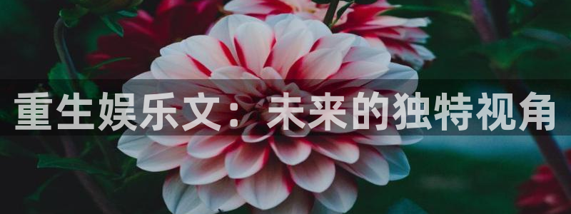 益达娱乐pg：重生娱乐文：未来的独特视角