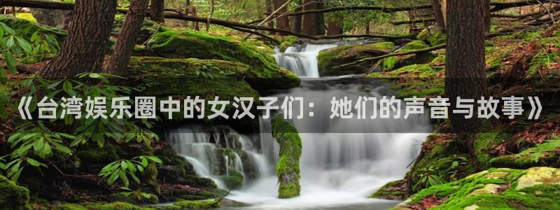 益达娱乐官网入口：《台湾娱乐圈中的女汉子们：她们的声音与故事》