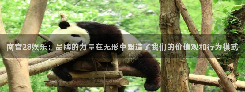 益达娱乐怎么下载：南宫28娱乐：品牌的力量在无形中塑造了我们的价值观和行为模式