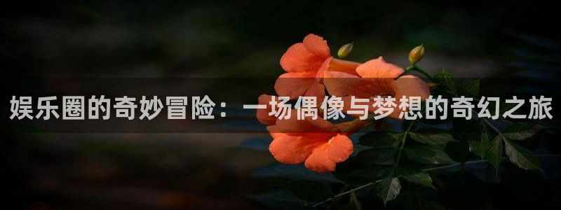 益达娱乐登录网：娱乐圈的奇妙冒险：一场偶像与梦想的奇幻之旅