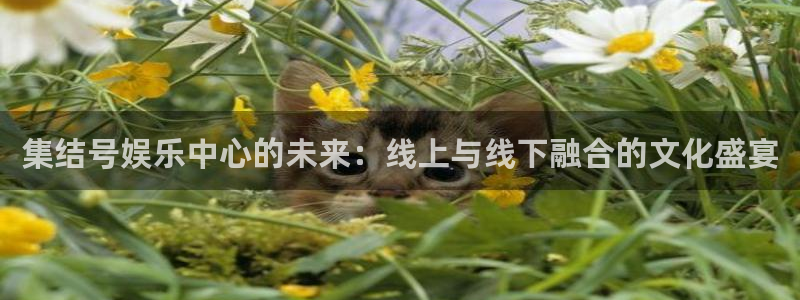 益达娱乐加拿大官网：集结号娱乐中心的未来：线上与线下融合的文化盛宴