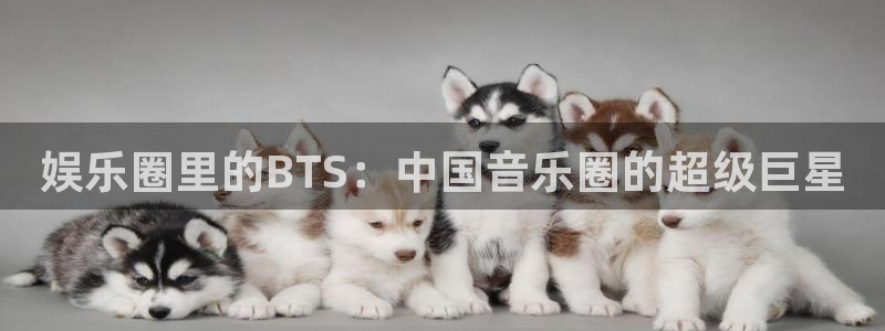 益达娱乐下载地址：娱乐圈里的BTS：中国音乐圈的超级巨星