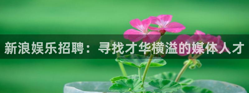 壹号大舞台网站：新浪娱乐招聘：寻找才华横溢的媒体人才