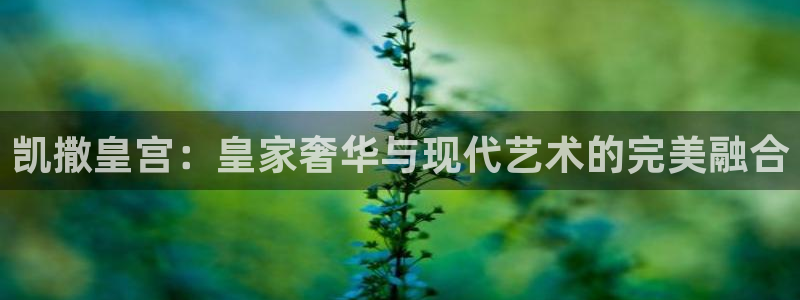 益达娱乐app哪个模式容易赢：凯撒皇宫：皇家奢华与现代艺术的完美融合